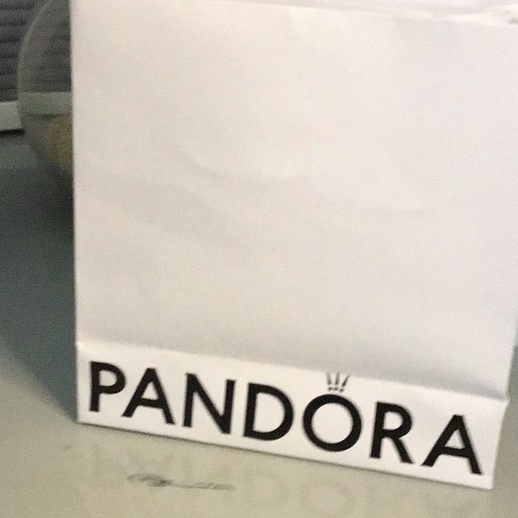 Plain band pandora bracelet - Picture 2 of 3